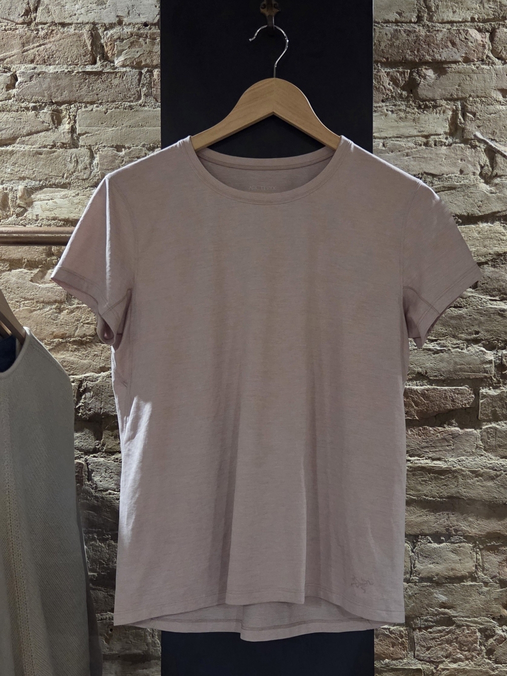 Arc'teryx Womens Short Sleeve Crew T-Shirt in Pale Pink